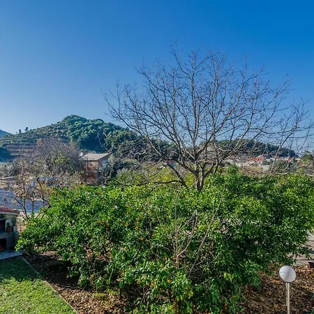 With Parking Space Zuljana, Peljesac - 4574 * Žuljana