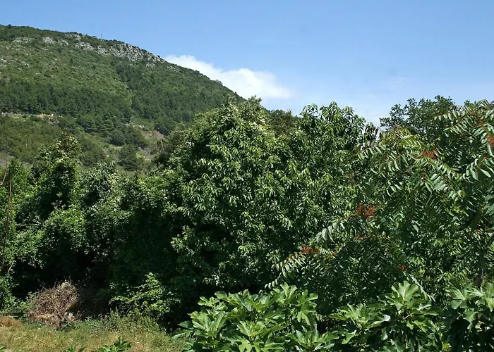 With Parking Space Zuljana, Peljesac - 4574 公寓 *