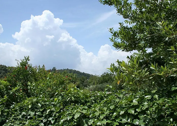 With Parking Space Zuljana, Peljesac - 4574 公寓 *